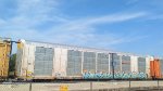 BNSF 29986 (Body) BNSF 301886 (Flat)